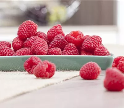 Himbeeren pflanzen und leckere Snacks genießen Himbeeren pflanzen und leckere Snacks genießen